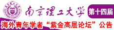 操逼玩南京理工大学第十四届海外青年学者紫金论坛诚邀海内外英才！